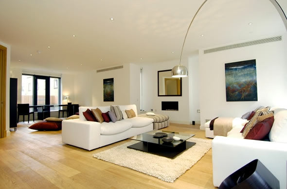 Decorate Apartment Living Room Ideas