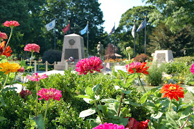 flowers in full bloom on the Town Common