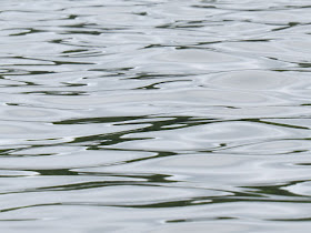 rippled water