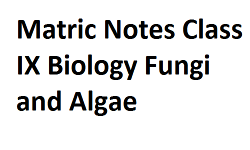 Matric Notes Class IX Biology Fungi and Algae matricnotes0