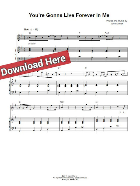 john mayer, you're gonna live forever in me, sheet music, chords, guitar tabs, notes, download, print, video