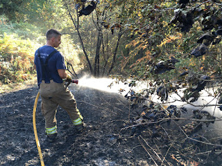 los incendios sofocan un fuego forestal entre Gorostiza y La Siebe