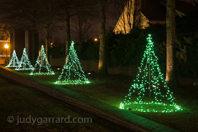 Row of trees with green lights