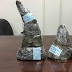 Vietnamese Customs officers seize $270k worth of Rhino horns smuggled from Africa 