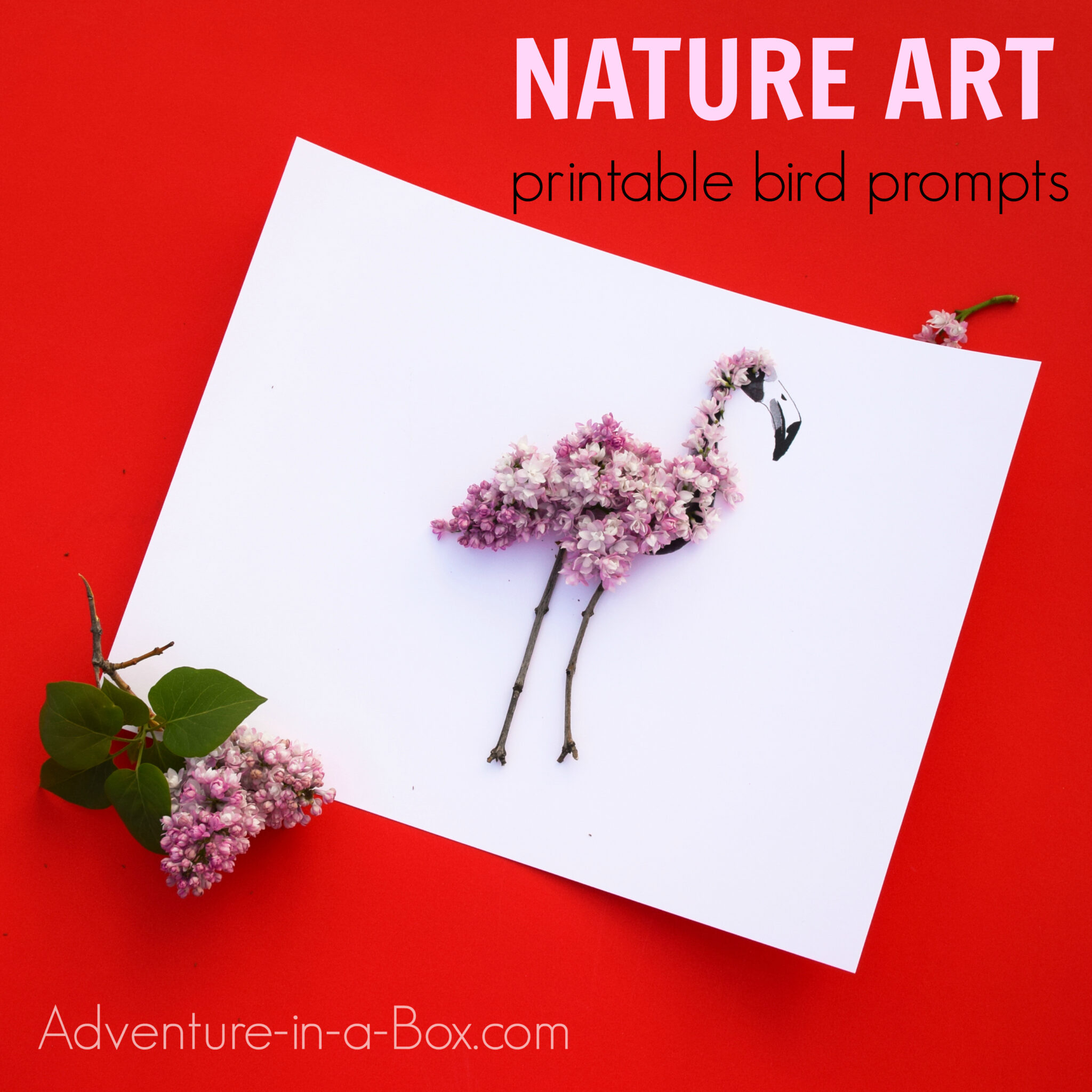 Nature art prompts bird pack