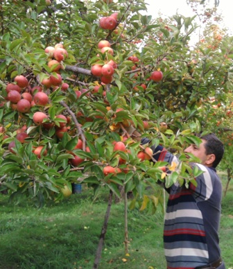 Meyre(Harmanpınar)'yi Yaşamak