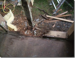 Shed Renovation 042