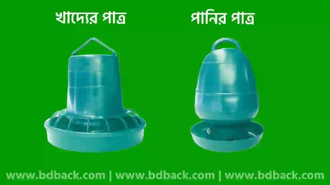 কোয়েল পাখির খাবার পাত্র