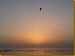20130312_182611