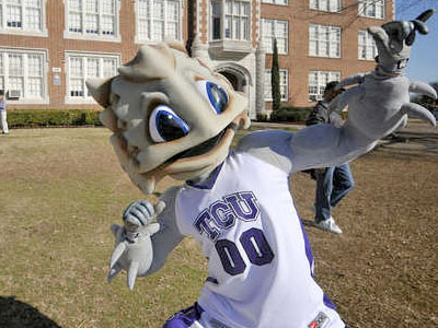 Super Frog the Horned Frog 