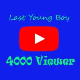 viewer 4000