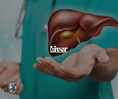 liver