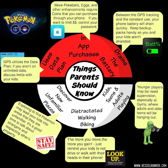 Pokemon Go Things to Know