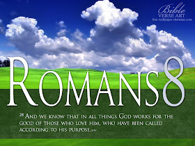 Romans 8:28 Faith Bible Verse