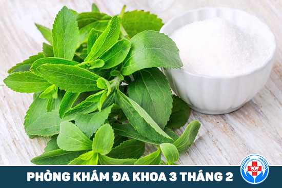 Cỏ ngọt Stevia thay thế an toàn cho đường