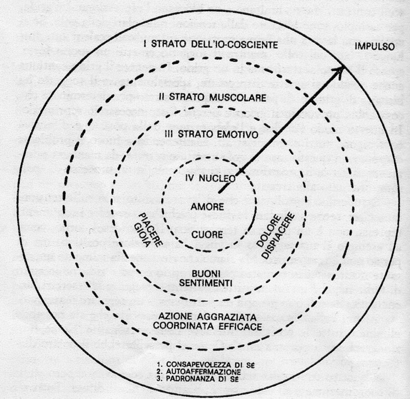 Risultati immagini per bioenergetica