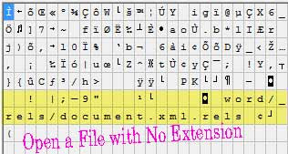 Computer Tips:  Open a File with No Extension