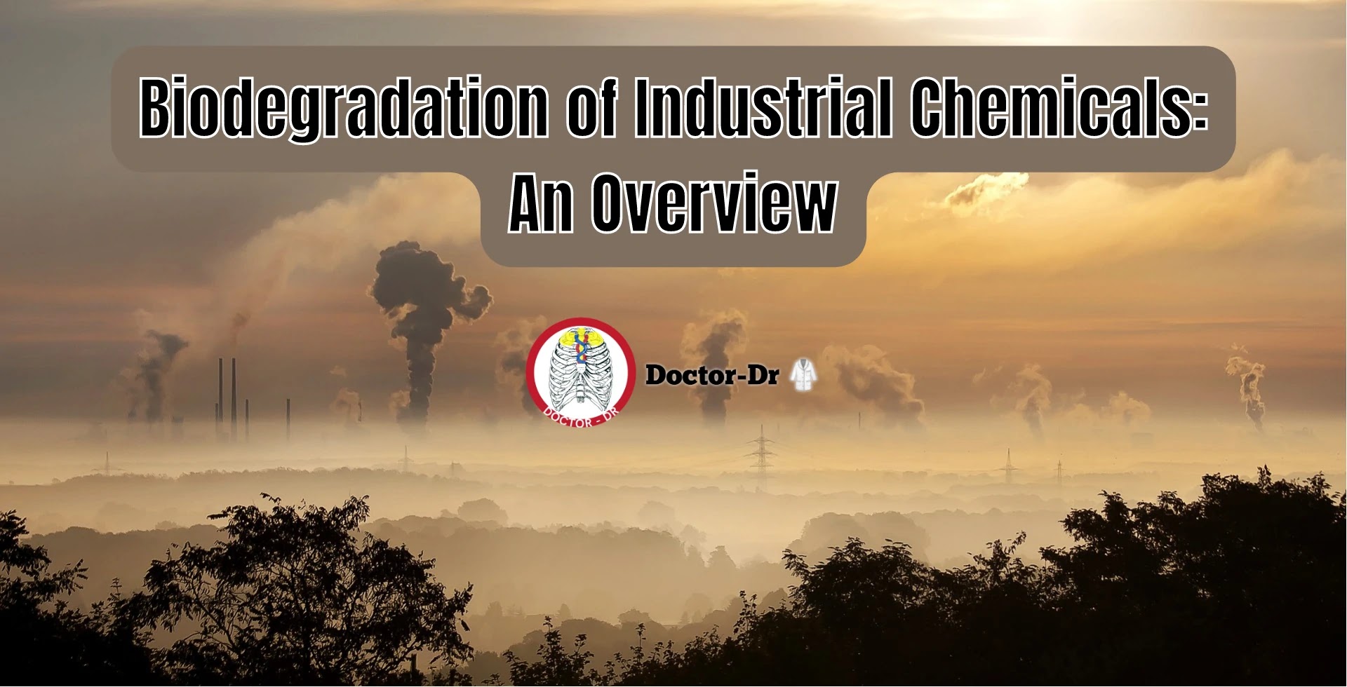 Biodegradation of Industrial Chemicals: An Overview