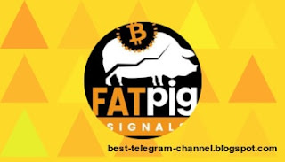 Fat Pig Signals