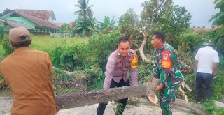 Bersinergi, Bhabinkamtibmas Polsek Kramatwatu Polresta Serkot Beserta Babinsa Membersihkan Pohon Tumbang