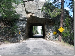 6444 View from US 16A Peter Norbeck Scenic Byway Iron Mountain Road SD