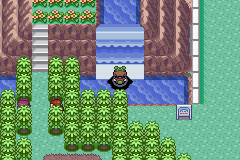 pokemon emerald kaizo screenshot 5