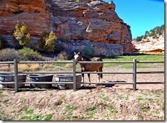 Return to Zion 142