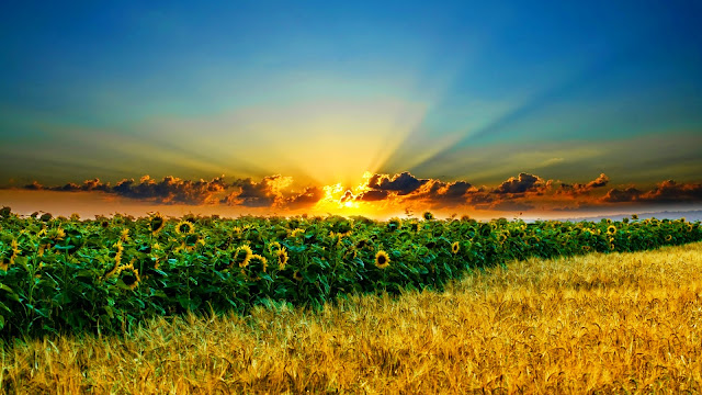 Nature & Sun HD Wallpapers