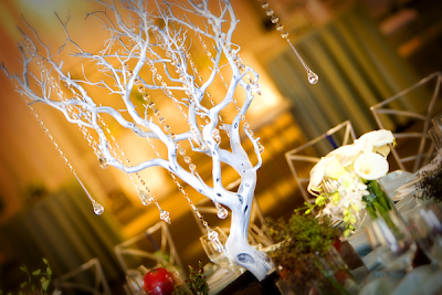 Wedding Centerpiece Accessories on Wedding Accessories Ideas  Winter Wedding Centerpieces Branches 2