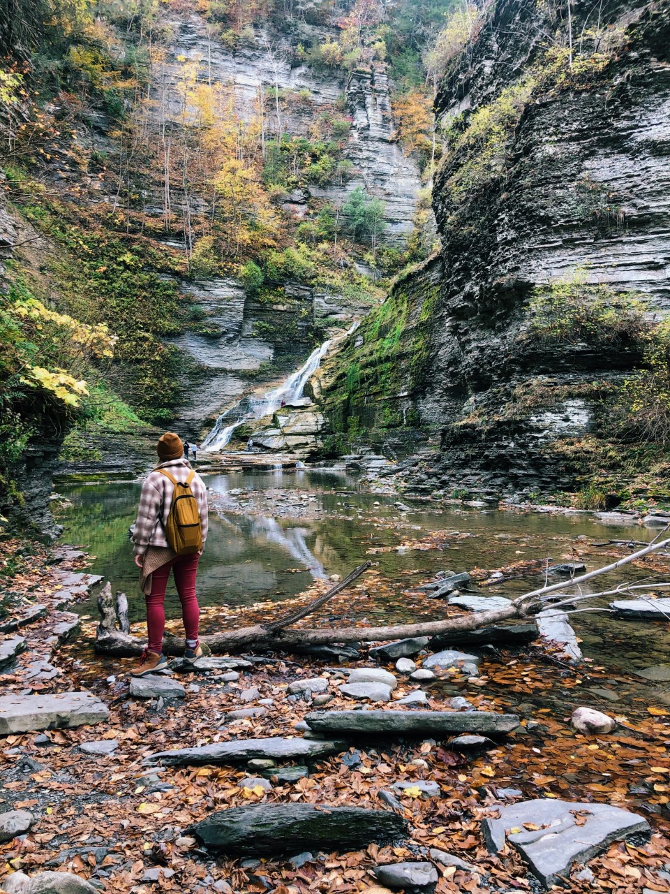 Hiking at Robert H. Treman State Park | Organized Mess