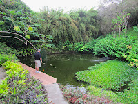 Kula Botanical Gardens Maui