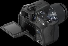Camera:  Sony A350