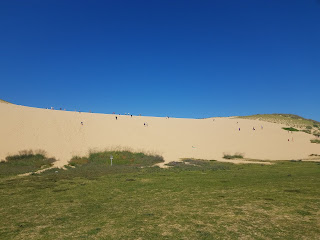 150ft tall sand dune looking from the bottom up