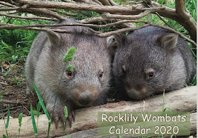 cover of the Rocklily Wombars 2020 calendar, with a photo of two wombats