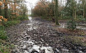 Muddy track at the bottom of Barnet Wood, Hayes.  20 January 2014