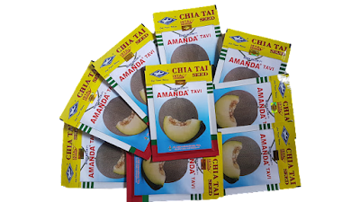 jual benih, benih melon amanda tavi, harga murah, benih melon, tanaman melon, Amanda tavi, cara menanam melon, toko pertanian, online, lmga agro, bisi, bisi international