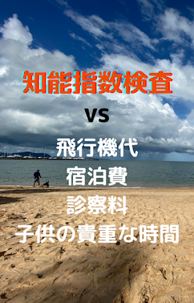 【知能指数検査とギフテッド判定③ギフテッド教育先進国へ】お金と時間かけて行くだけの価値があるのか