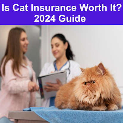 Is Cat Insurance Worth It? 2024 Guide