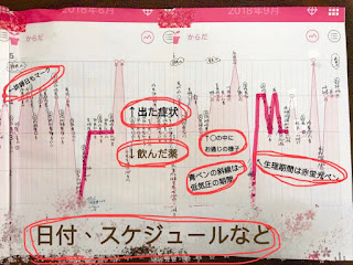 自律神経失調症の毎日を体調記録のグラフに記入している例