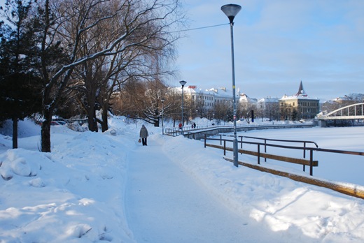 Picture 008