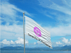 gynarchyflag