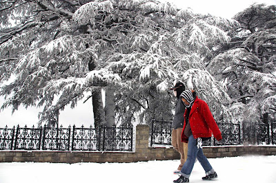 Shimla,mNorth India Tours