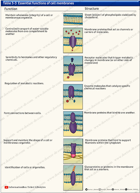 essential functions of cell membranes.