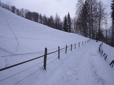 La Belleza de la Nieve