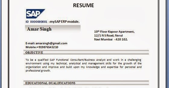 Resume Example Images Mba Resume Format Doc