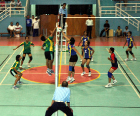  Volley  Corner gambar gambar olahraga  volley 