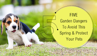 FIVE Garden Dangers To Avoid This Spring And Protect Your Pets