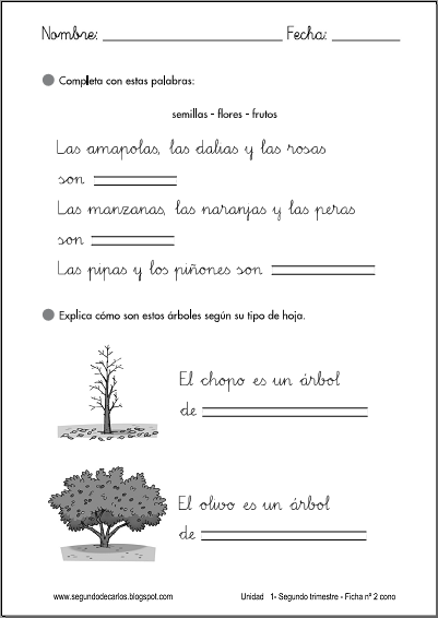 http://www.primerodecarlos.com/SEGUNDO_PRIMARIA/enero/tema1/fichas/cono/cono2.pdf