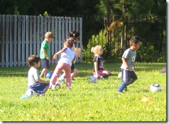 IMG_5906[1]