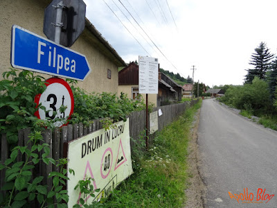 Filpea